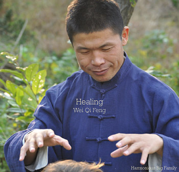 Healing CD Cover