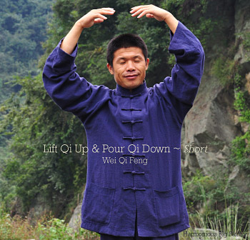 Lift Qi Up and Pour Down - Short CD Cover